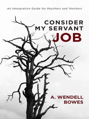 cover image of Consider My Servant Job